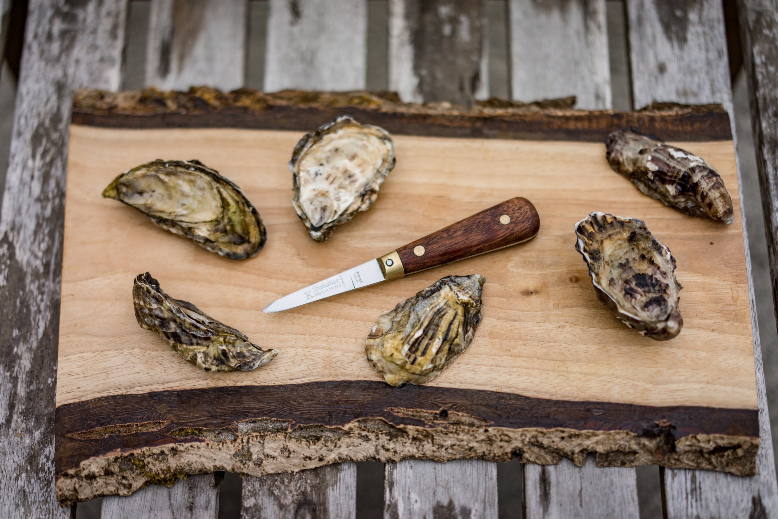 Oysters and shucking knife on cutting board