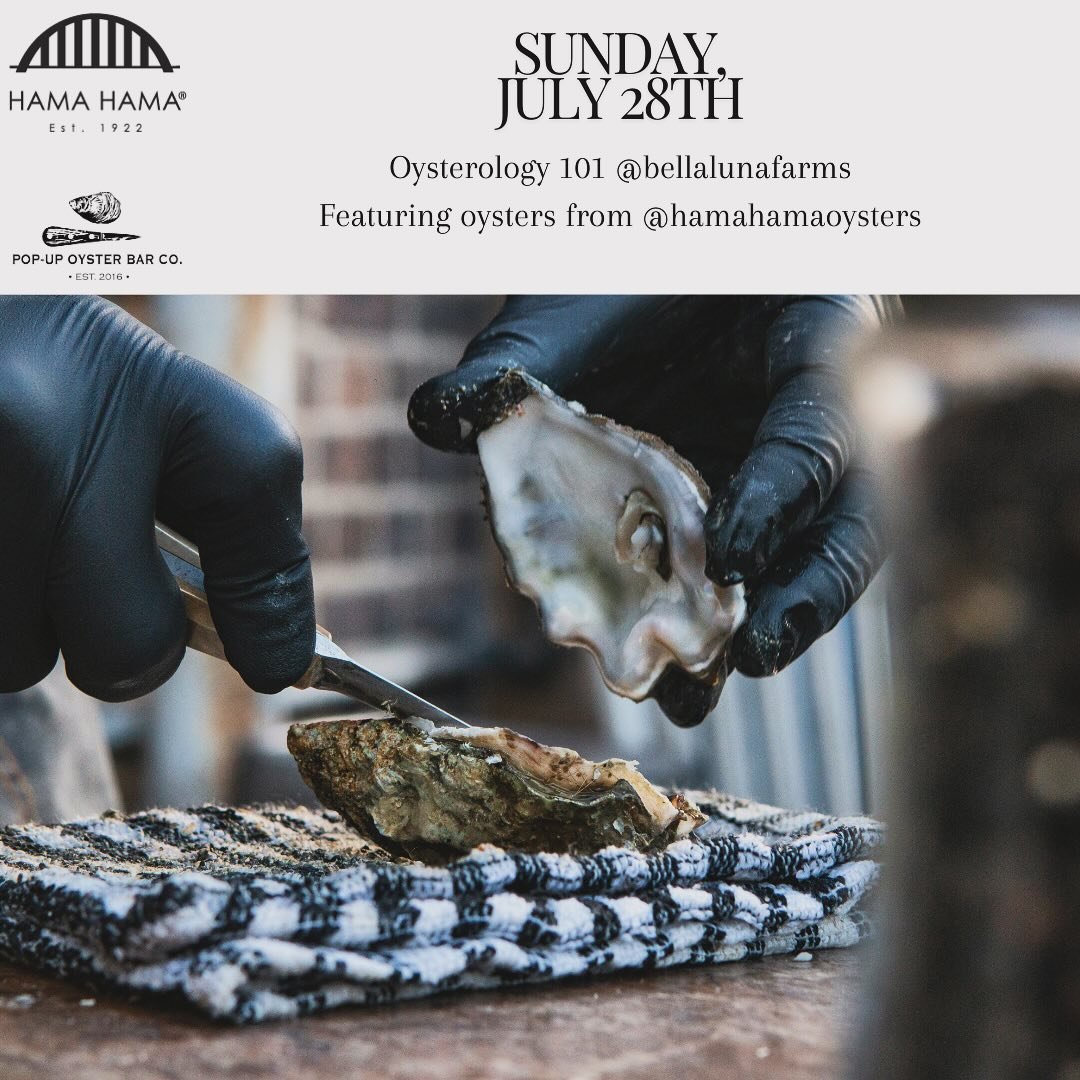 Oysterology class - shucking demonstration