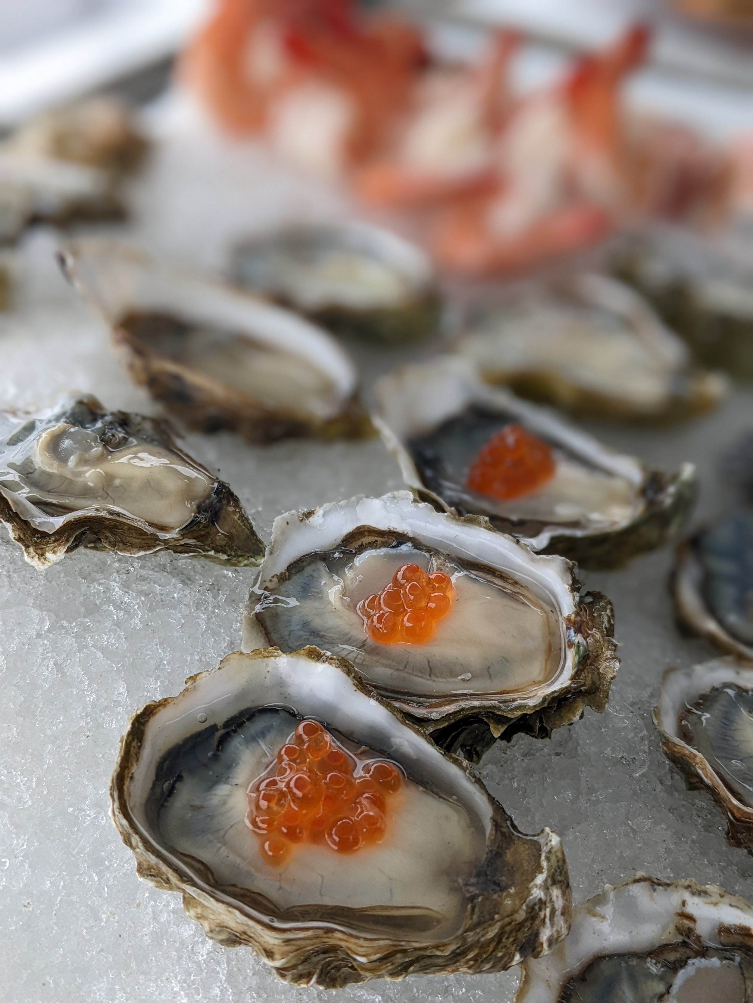 Fresh oysters topped with steelhead roe on ice